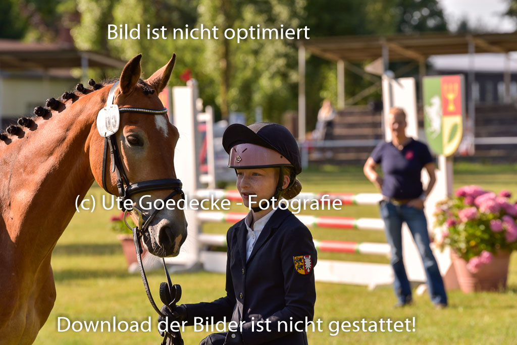 Goldene Schärpe Ponys in Hohenberg Krusemark 2024 | 14072024 Vormustern_106
