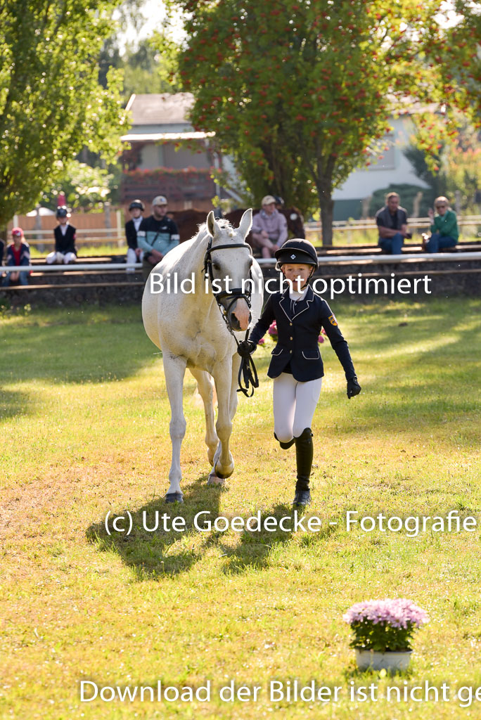 Goldene Schärpe Ponys in Hohenberg Krusemark 2024 | 14072024 Vormustern_107