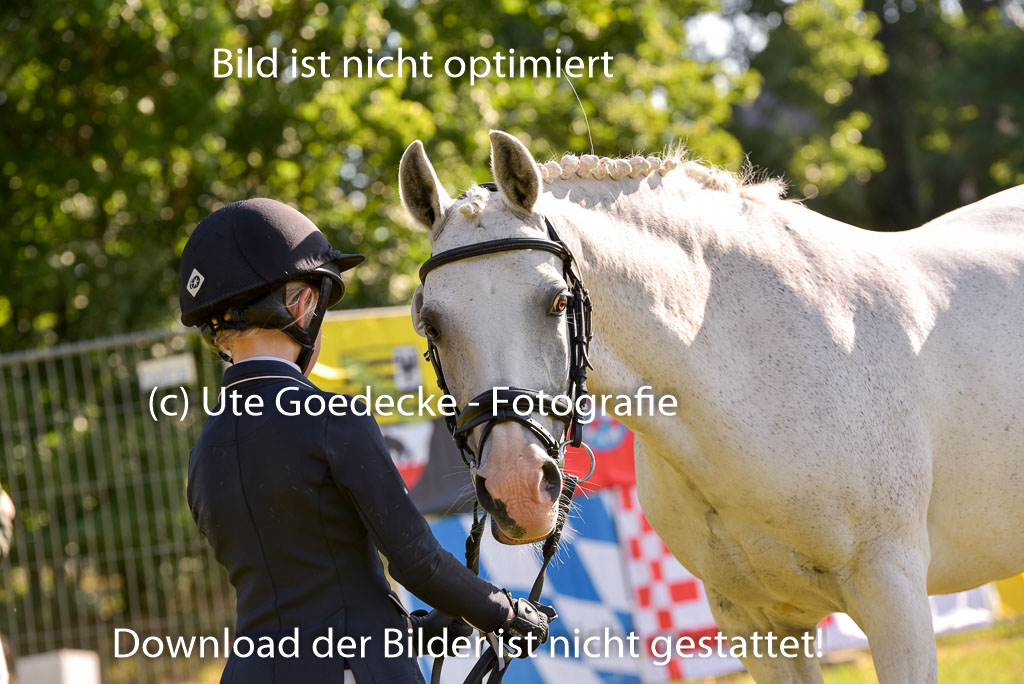 Goldene Schärpe Ponys in Hohenberg Krusemark 2024 | 14072024 Vormustern_111