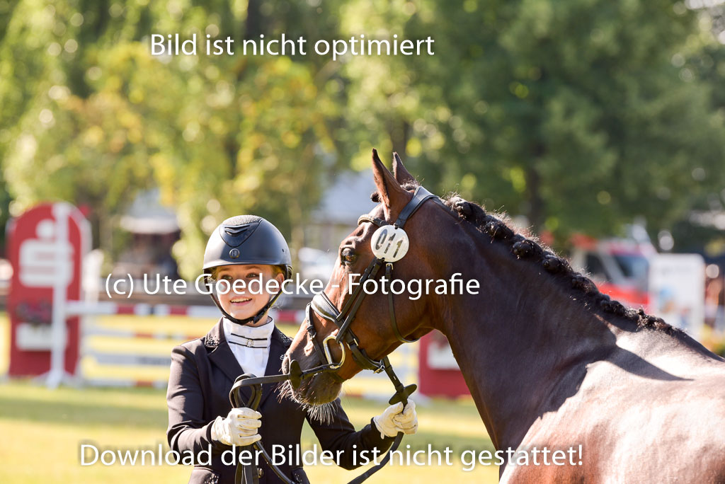 Goldene Schärpe Ponys in Hohenberg Krusemark 2024 | 14072024 Vormustern_112