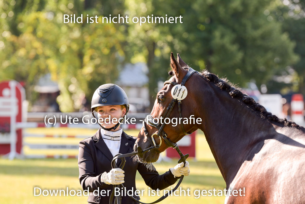 Goldene Schärpe Ponys in Hohenberg Krusemark 2024 | 14072024 Vormustern_113