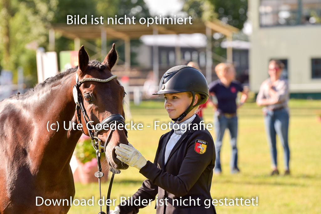 Goldene Schärpe Ponys in Hohenberg Krusemark 2024 | 14072024 Vormustern_115