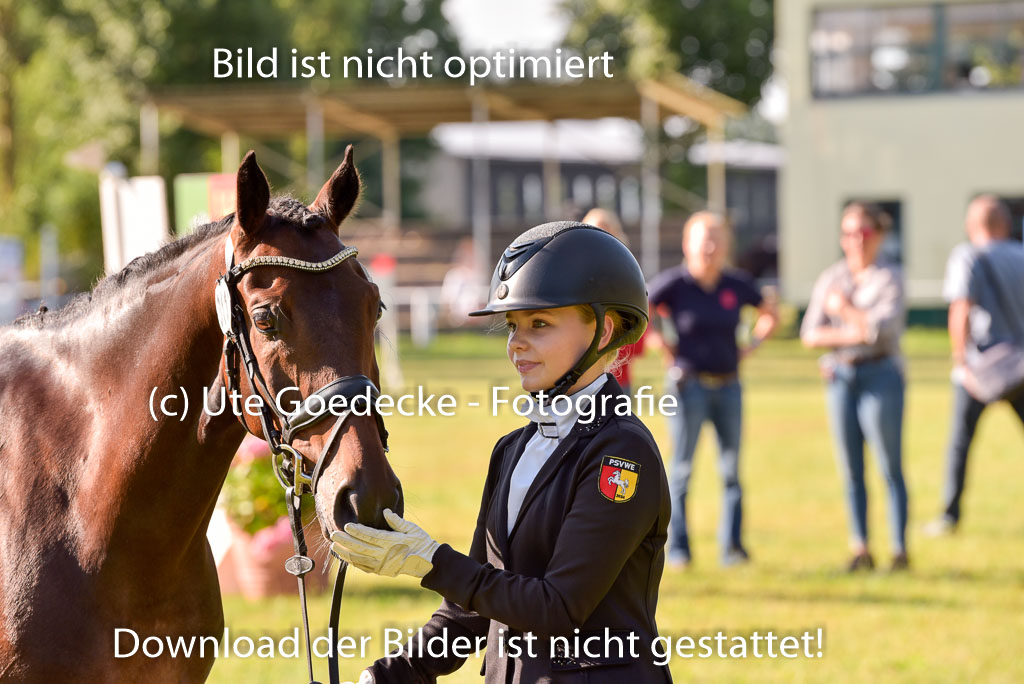 Goldene Schärpe Ponys in Hohenberg Krusemark 2024 | 14072024 Vormustern_116
