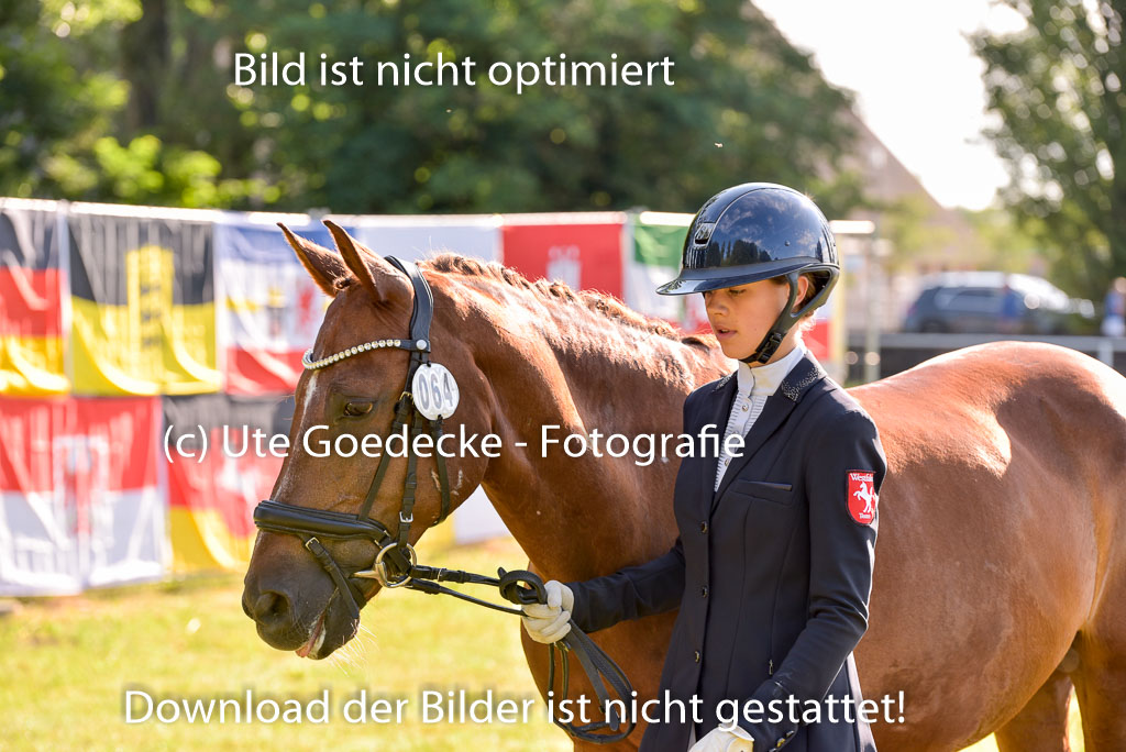 Goldene Schärpe Ponys in Hohenberg Krusemark 2024 | 14072024 Vormustern_119