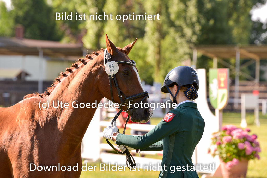 Goldene Schärpe Ponys in Hohenberg Krusemark 2024 | 14072024 Vormustern_121