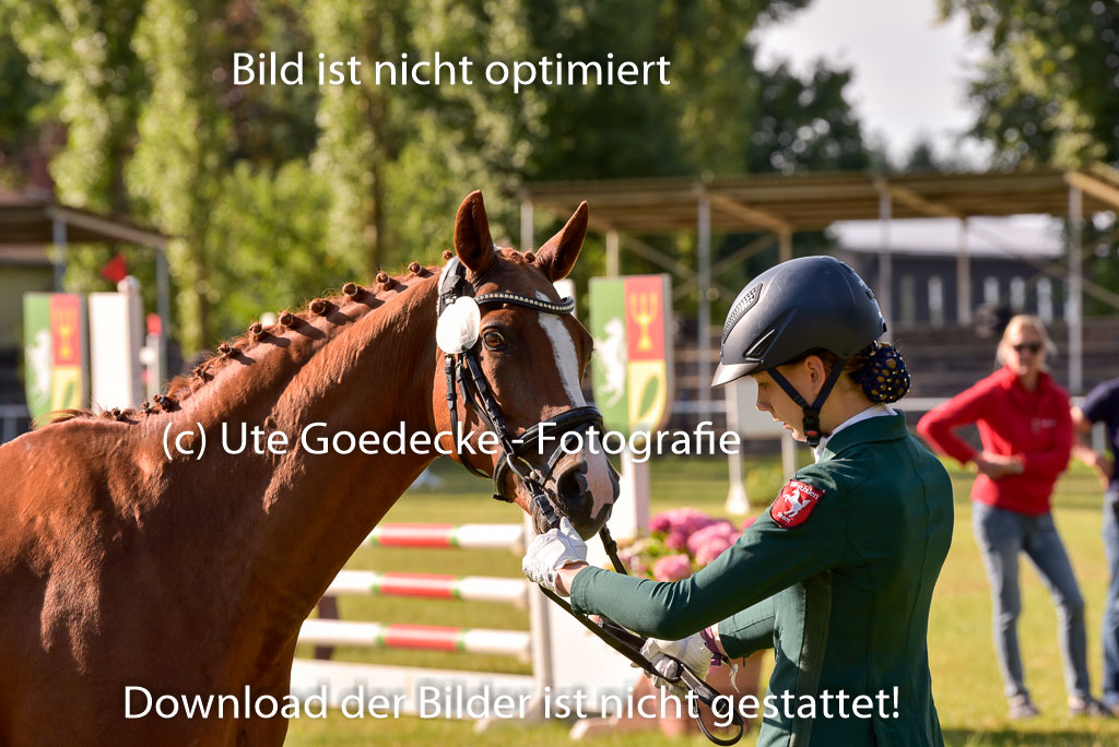 Goldene Schärpe Ponys in Hohenberg Krusemark 2024 | 14072024 Vormustern_122