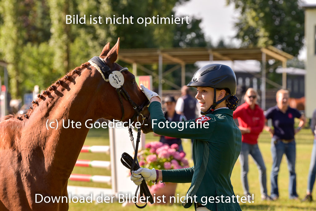 Goldene Schärpe Ponys in Hohenberg Krusemark 2024 | 14072024 Vormustern_123