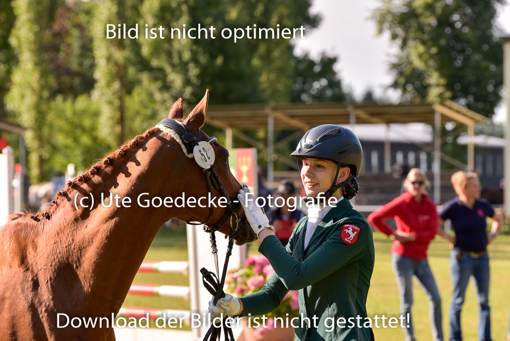 Goldene Schärpe Ponys in Hohenberg Krusemark 2024 | 14072024 Vormustern_124