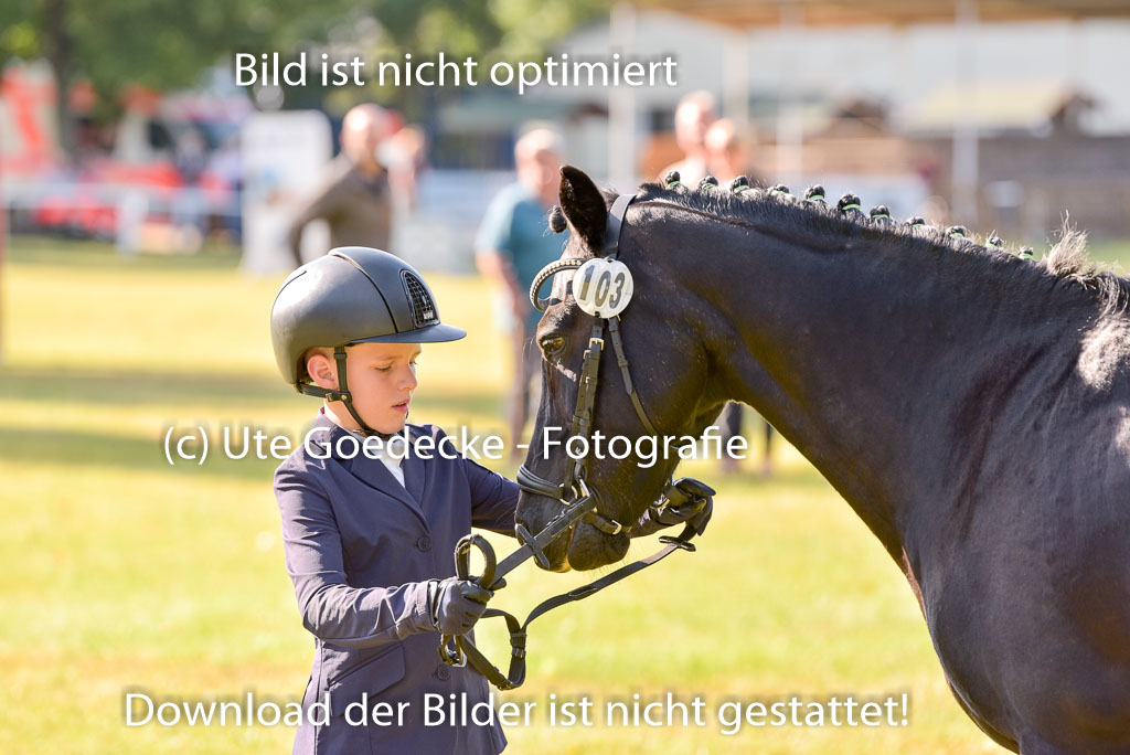 Goldene Schärpe Ponys in Hohenberg Krusemark 2024 | 14072024 Vormustern_126