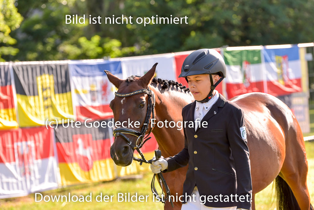Goldene Schärpe Ponys in Hohenberg Krusemark 2024 | 14072024 Vormustern_131