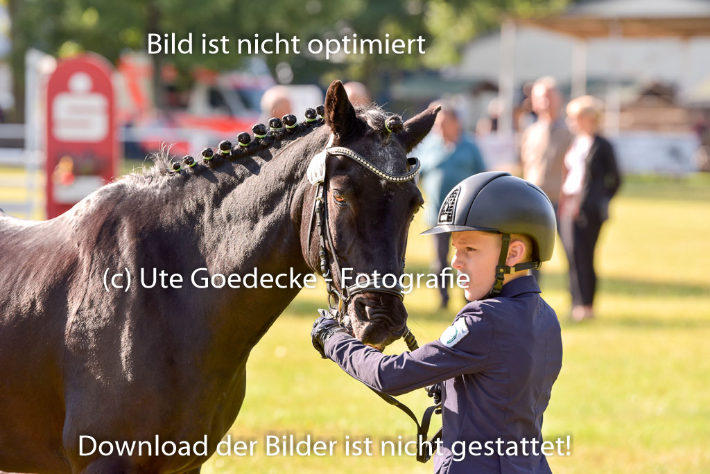 Goldene Schärpe Ponys in Hohenberg Krusemark 2024 | 14072024 Vormustern_132