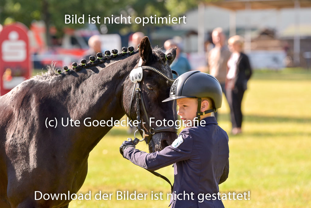 Goldene Schärpe Ponys in Hohenberg Krusemark 2024 | 14072024 Vormustern_133