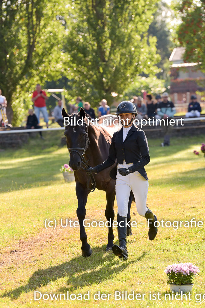 Goldene Schärpe Ponys in Hohenberg Krusemark 2024 | 14072024 Vormustern_136