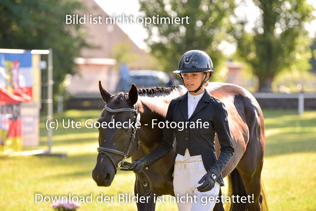 Goldene Schärpe Ponys in Hohenberg Krusemark 2024 | 14072024 Vormustern_137
