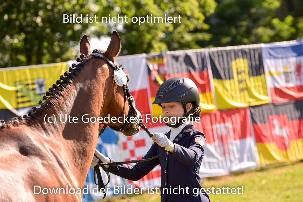 Goldene Schärpe Ponys in Hohenberg Krusemark 2024 | 14072024 Vormustern_141