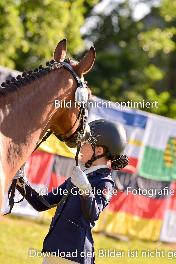 Goldene Schärpe Ponys in Hohenberg Krusemark 2024 | 14072024 Vormustern_142