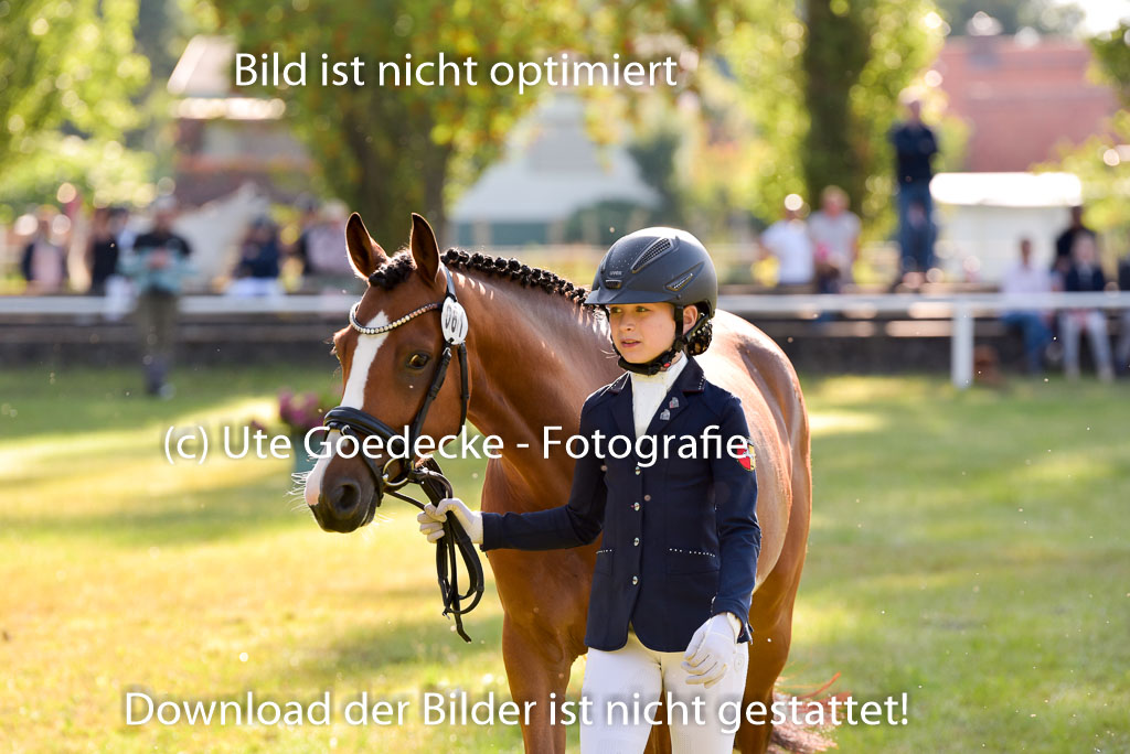 Goldene Schärpe Ponys in Hohenberg Krusemark 2024 | 14072024 Vormustern_147