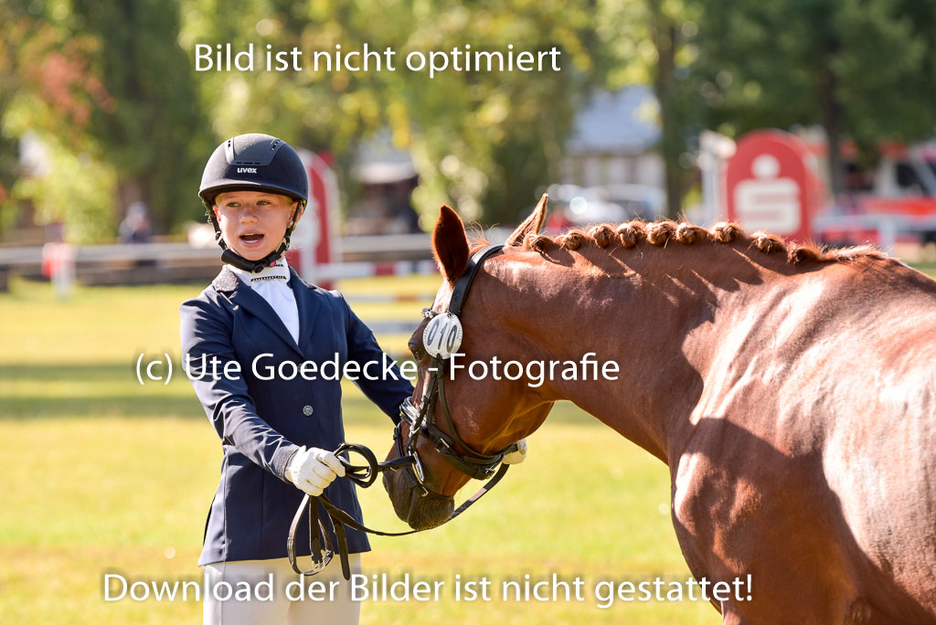 Goldene Schärpe Ponys in Hohenberg Krusemark 2024 | 14072024 Vormustern_150