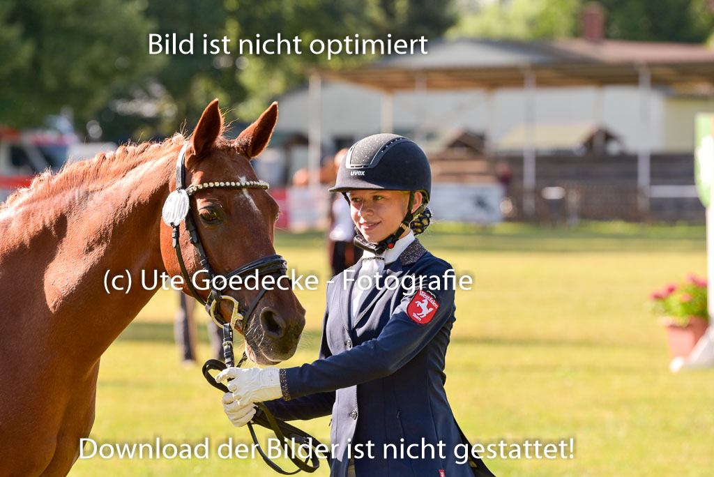 Goldene Schärpe Ponys in Hohenberg Krusemark 2024 | 14072024 Vormustern_152