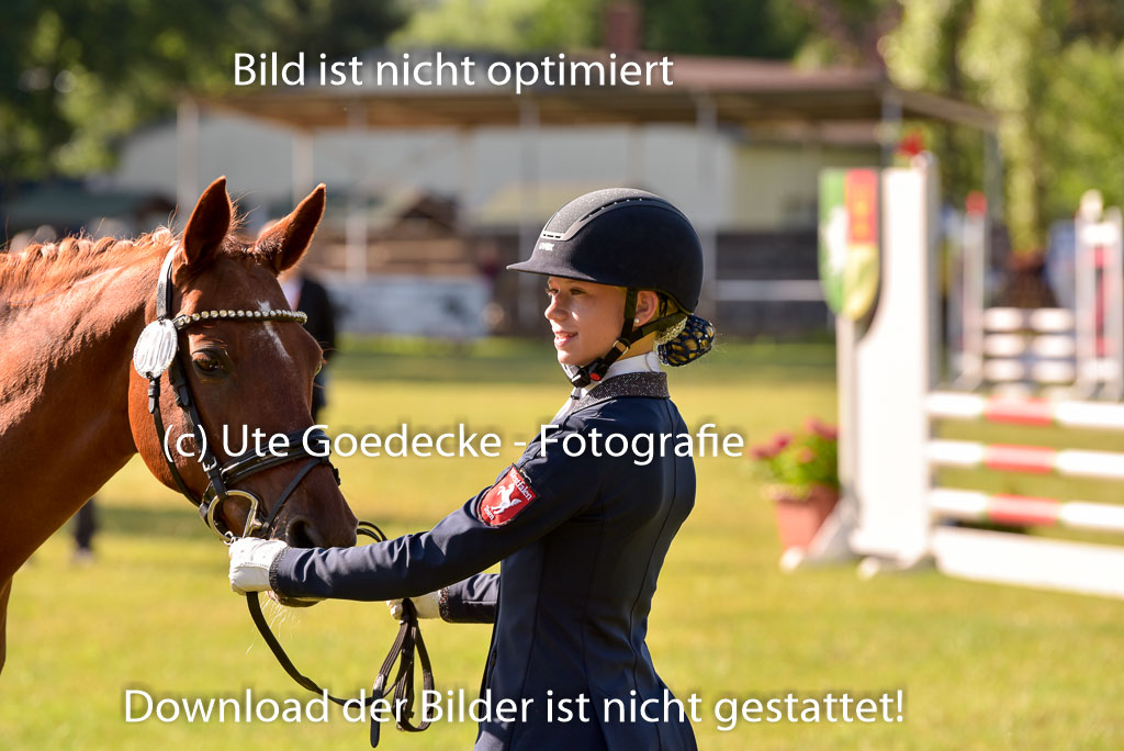 Goldene Schärpe Ponys in Hohenberg Krusemark 2024 | 14072024 Vormustern_153