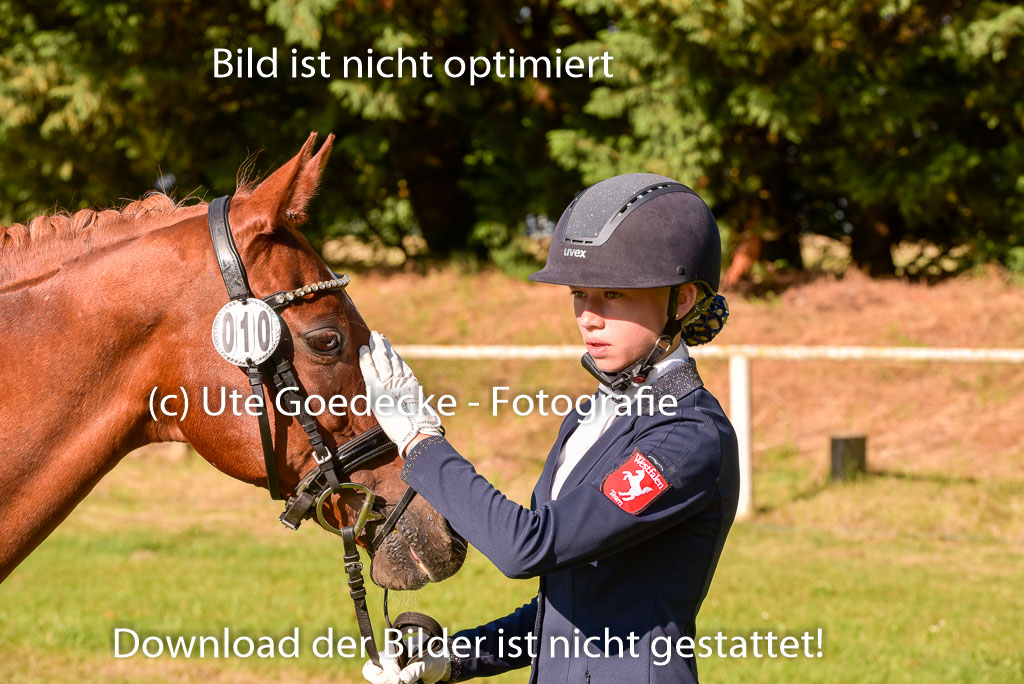Goldene Schärpe Ponys in Hohenberg Krusemark 2024 | 14072024 Vormustern_154