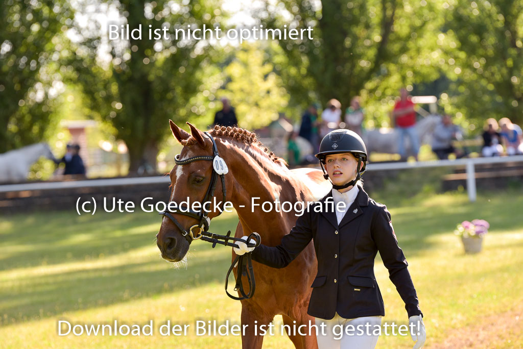 Goldene Schärpe Ponys in Hohenberg Krusemark 2024 | 14072024 Vormustern_156