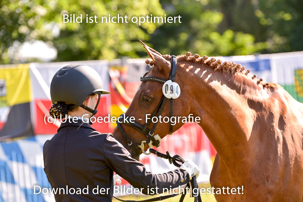 Goldene Schärpe Ponys in Hohenberg Krusemark 2024 | 14072024 Vormustern_157
