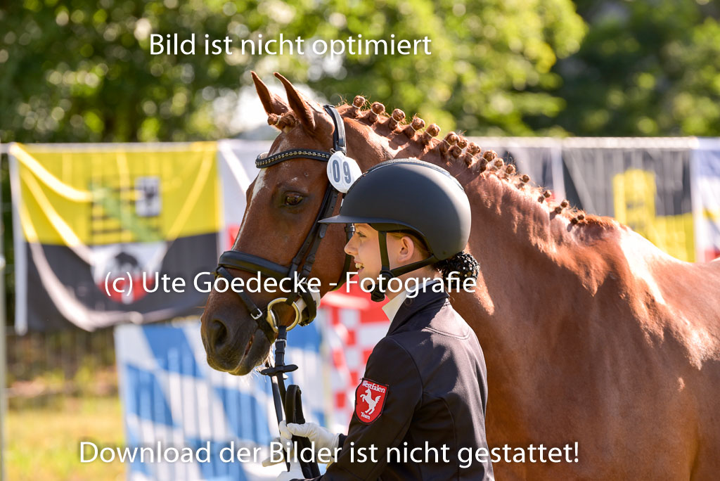 Goldene Schärpe Ponys in Hohenberg Krusemark 2024 | 14072024 Vormustern_159