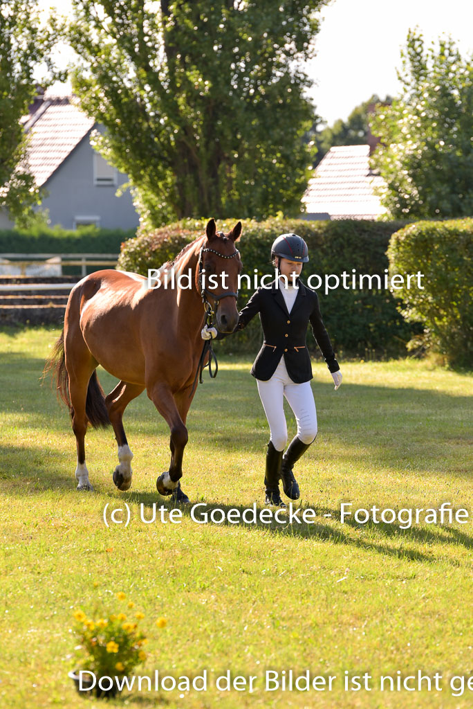 Goldene Schärpe Ponys in Hohenberg Krusemark 2024 | 14072024 Vormustern_162