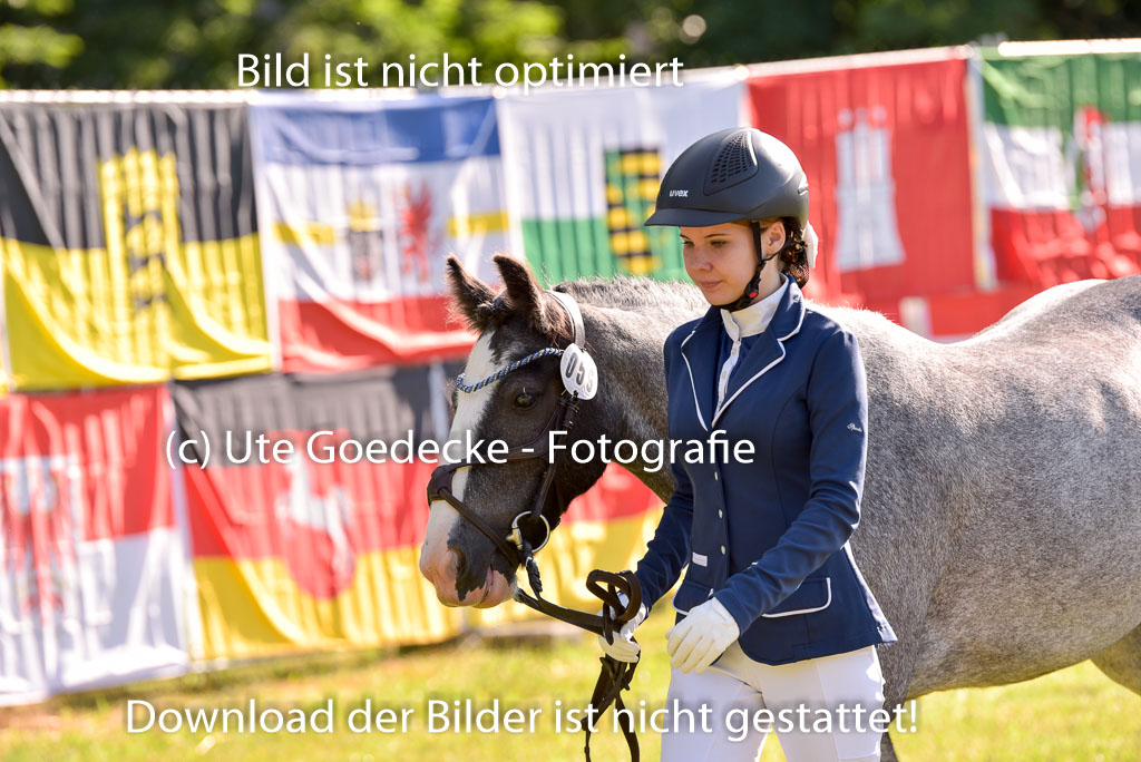 Goldene Schärpe Ponys in Hohenberg Krusemark 2024 | 14072024 Vormustern_165