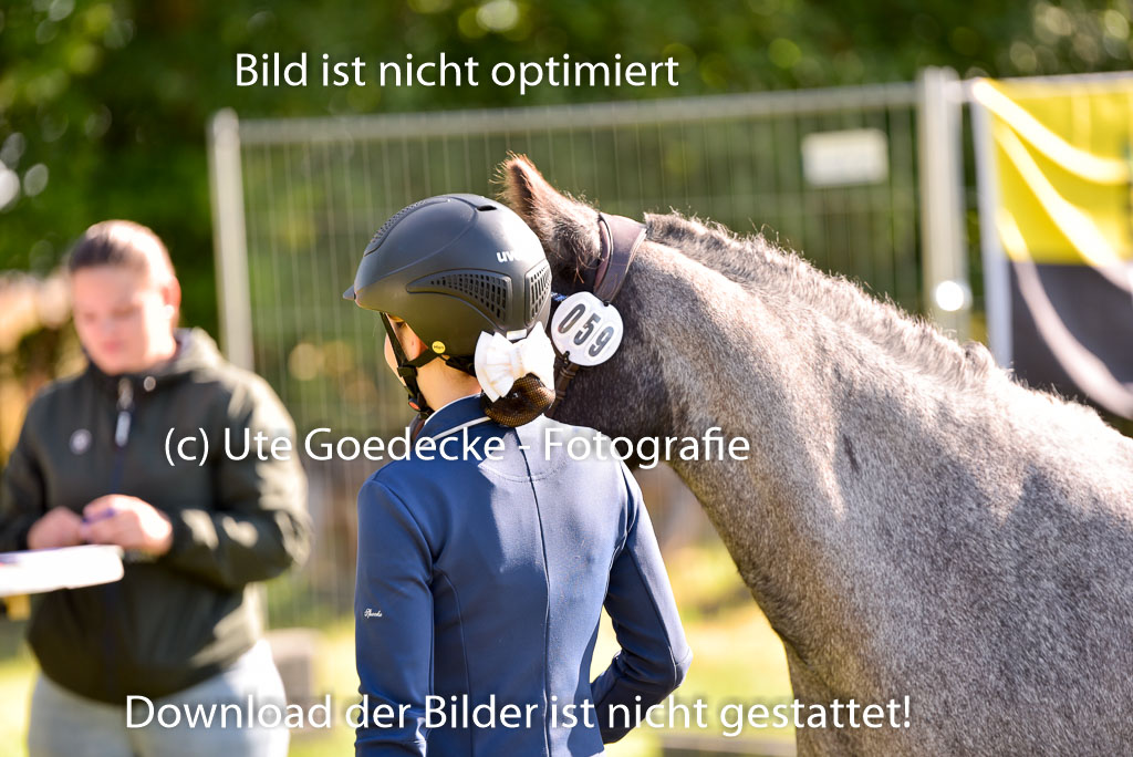 Goldene Schärpe Ponys in Hohenberg Krusemark 2024 | 14072024 Vormustern_168