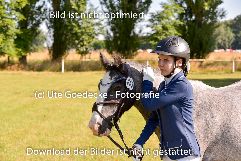 Goldene Schärpe Ponys in Hohenberg Krusemark 2024 | 14072024 Vormustern_169