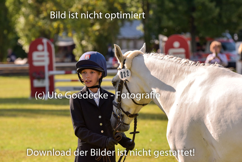 Goldene Schärpe Ponys in Hohenberg Krusemark 2024 | 14072024 Vormustern_171