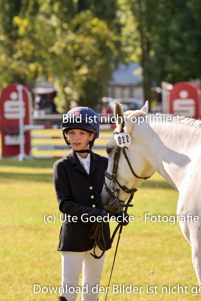 Goldene Schärpe Ponys in Hohenberg Krusemark 2024 | 14072024 Vormustern_172