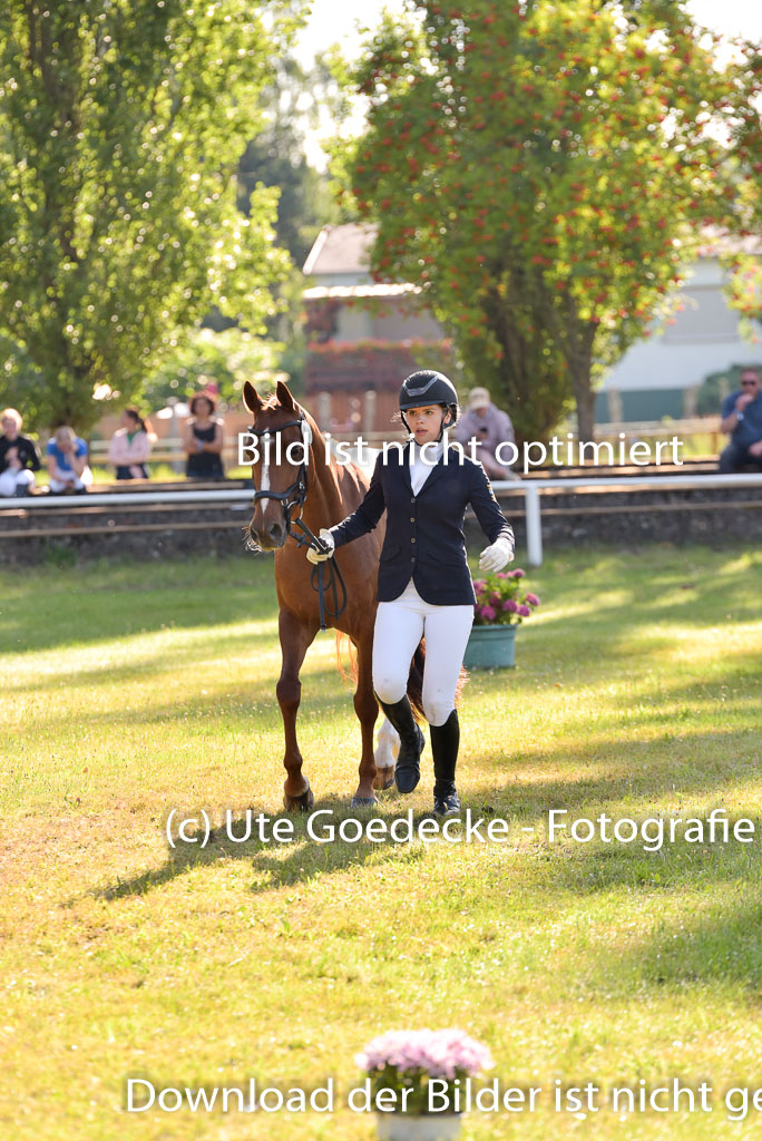 Goldene Schärpe Ponys in Hohenberg Krusemark 2024 | 14072024 Vormustern_173