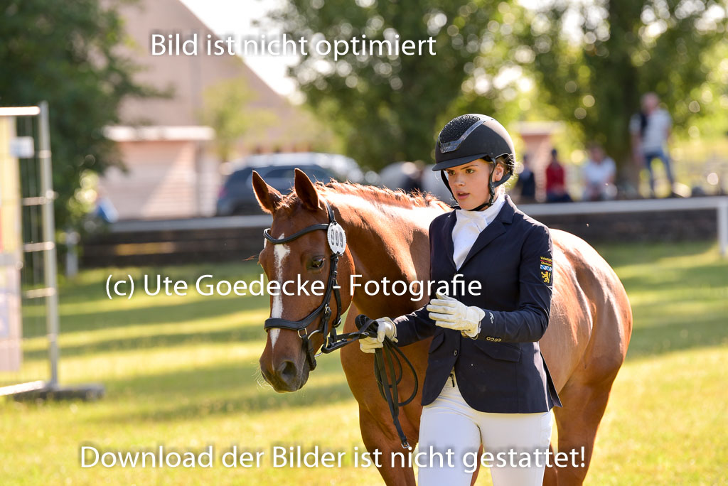 Goldene Schärpe Ponys in Hohenberg Krusemark 2024 | 14072024 Vormustern_174