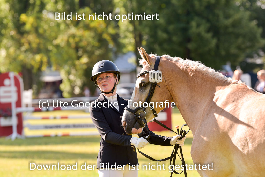 Goldene Schärpe Ponys in Hohenberg Krusemark 2024 | 14072024 Vormustern_178
