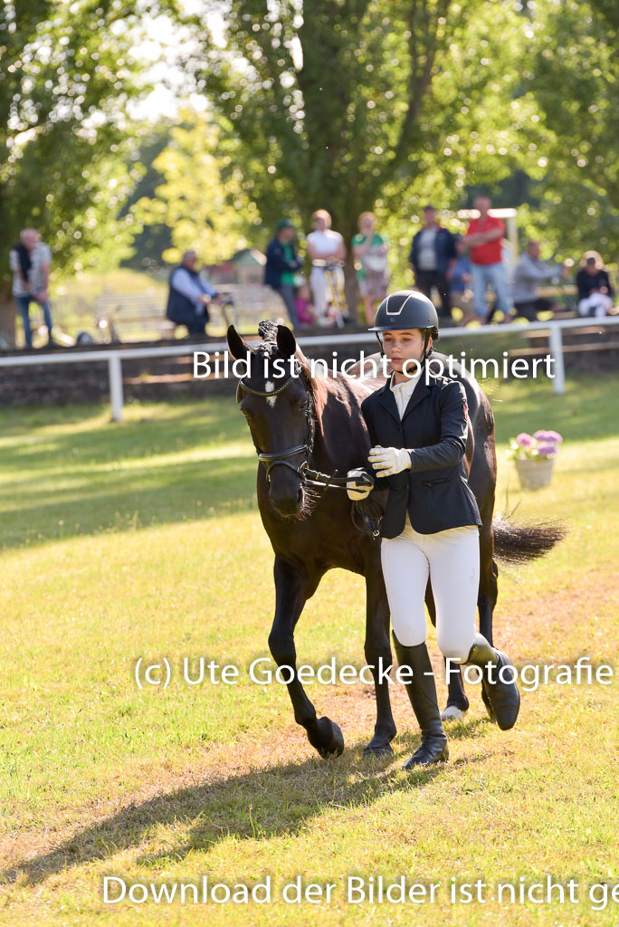 Goldene Schärpe Ponys in Hohenberg Krusemark 2024 | 14072024 Vormustern_180