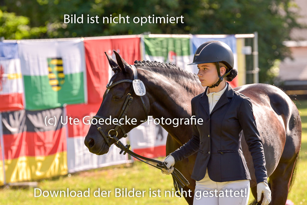 Goldene Schärpe Ponys in Hohenberg Krusemark 2024 | 14072024 Vormustern_181