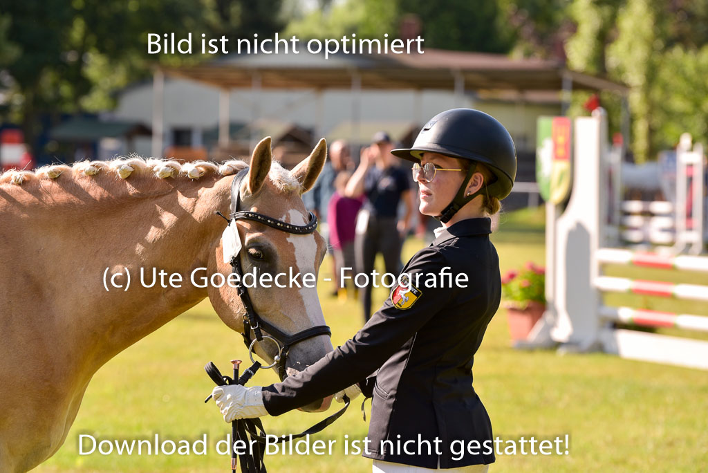 Goldene Schärpe Ponys in Hohenberg Krusemark 2024 | 14072024 Vormustern_182