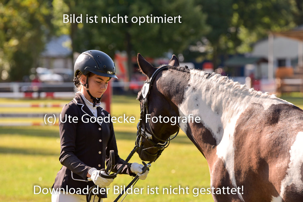 Goldene Schärpe Ponys in Hohenberg Krusemark 2024 | 14072024 Vormustern_185