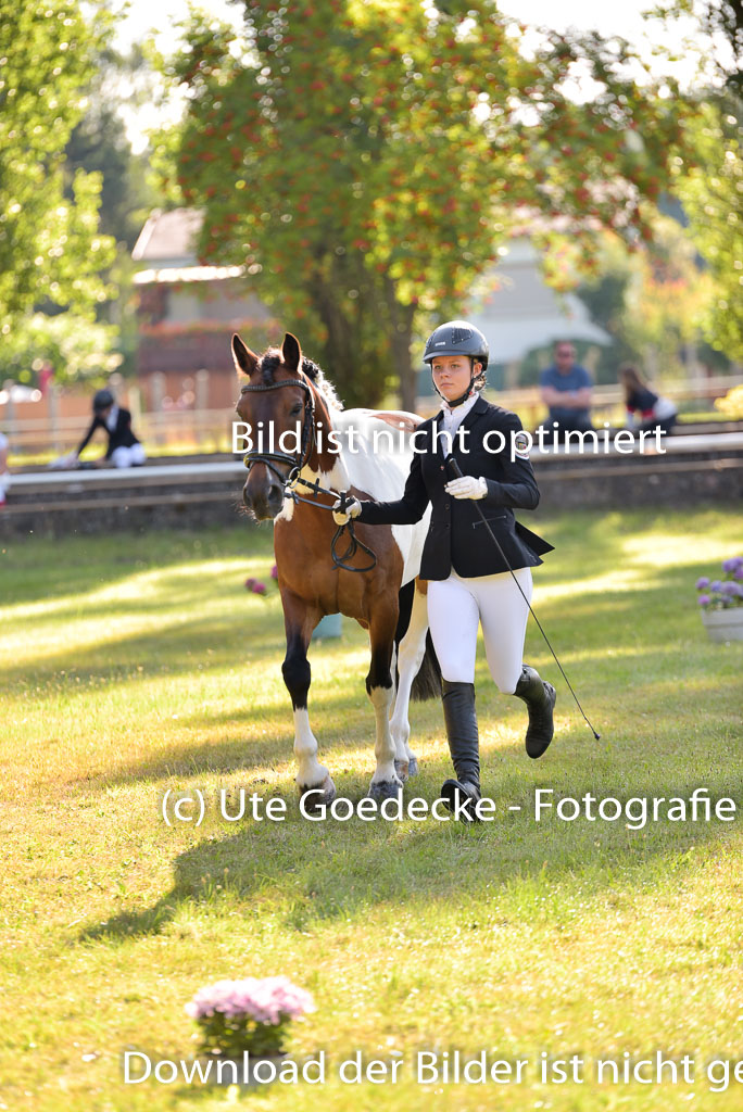 Goldene Schärpe Ponys in Hohenberg Krusemark 2024 | 14072024 Vormustern_189