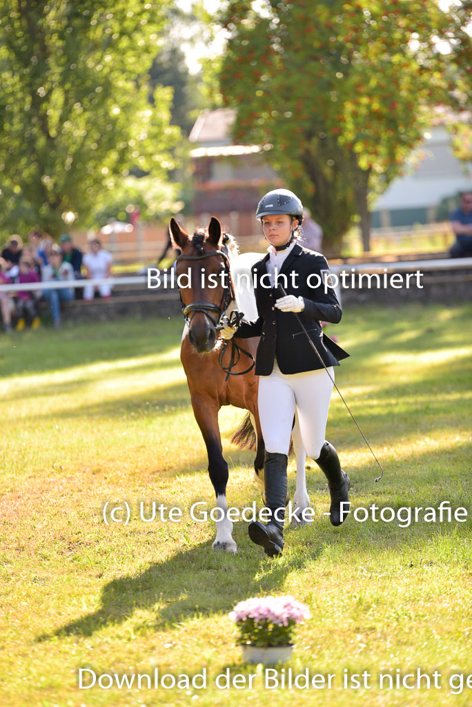 Goldene Schärpe Ponys in Hohenberg Krusemark 2024 | 14072024 Vormustern_190