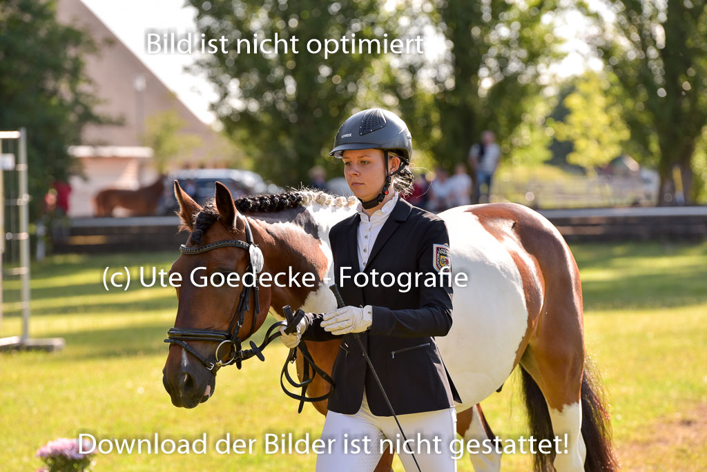 Goldene Schärpe Ponys in Hohenberg Krusemark 2024 | 14072024 Vormustern_191