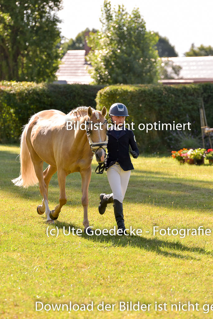 Goldene Schärpe Ponys in Hohenberg Krusemark 2024 | 14072024 Vormustern_197