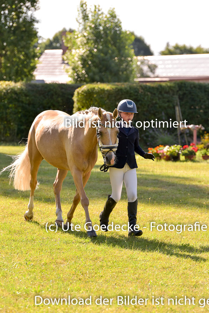 Goldene Schärpe Ponys in Hohenberg Krusemark 2024 | 14072024 Vormustern_198