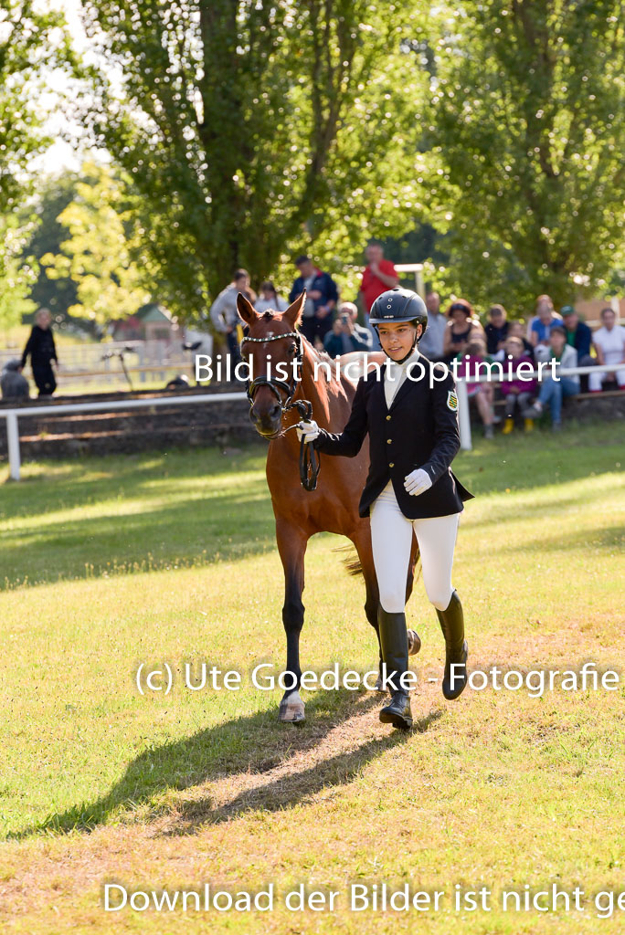 Goldene Schärpe Ponys in Hohenberg Krusemark 2024 | 14072024 Vormustern_199