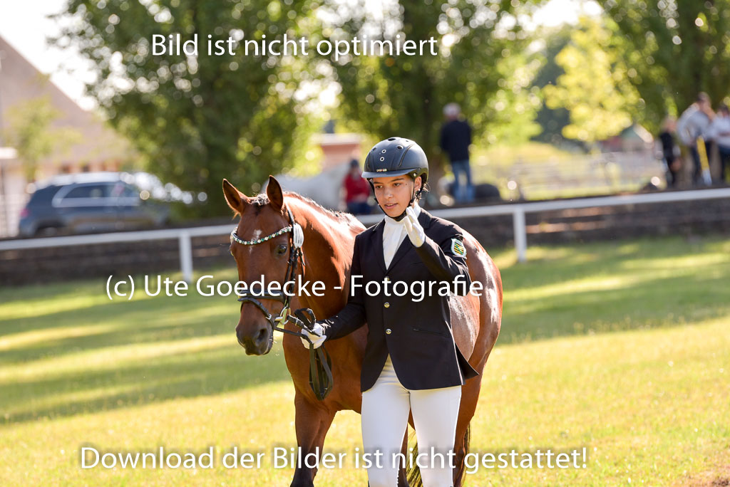 Goldene Schärpe Ponys in Hohenberg Krusemark 2024 | 14072024 Vormustern_200