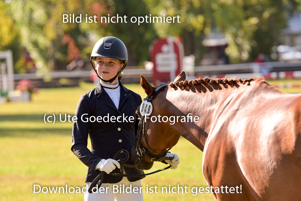 Goldene Schärpe Ponys in Hohenberg Krusemark 2024 | 14072024 Vormustern_203