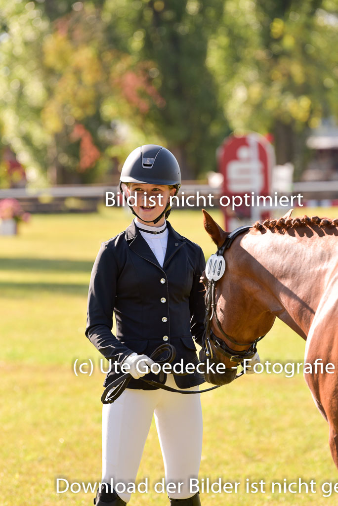 Goldene Schärpe Ponys in Hohenberg Krusemark 2024 | 14072024 Vormustern_204